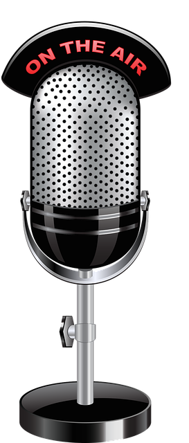 This image has an empty alt attribute; its file name is microphone-divider.png