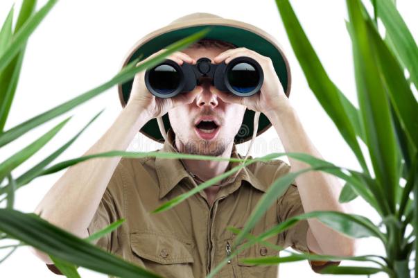 explorer-looking-through-jungle-binoculars_protectedimage-1