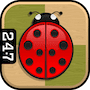 Play Spring Checkers