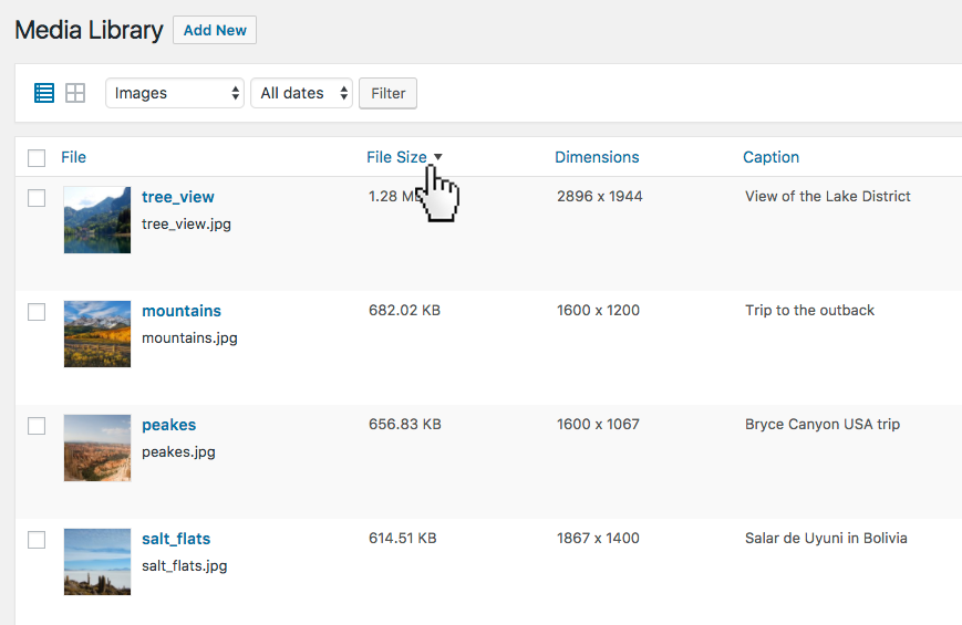 Custom sortable columns Media overview with custom sortable columns. Sort content and easily adjust it with bulk or inline edit.