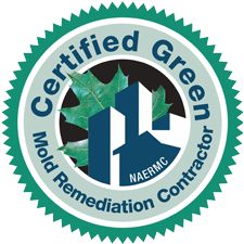mold-and-general-contractors Certified Green Mold Remediation Contractor