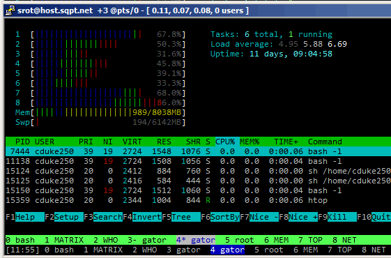 running htop in bash over ssh to different server running htop in bash over ssh to different server