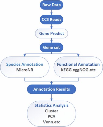 The Data Analysis Pipeline of Long-Read Metagenomic Sequencing.