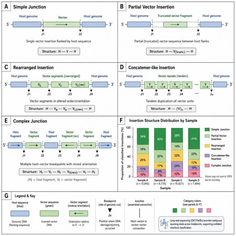 Insertion structure and sample-level summary view