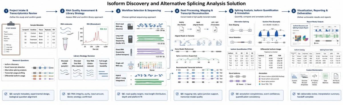 Isoform and alternative splicing analysis workflow with RNA QC checkpoints