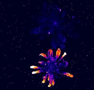 imgThemes10 imgThemes10