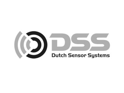 logo DSS