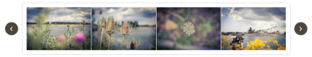jCarousel screenshot default skin