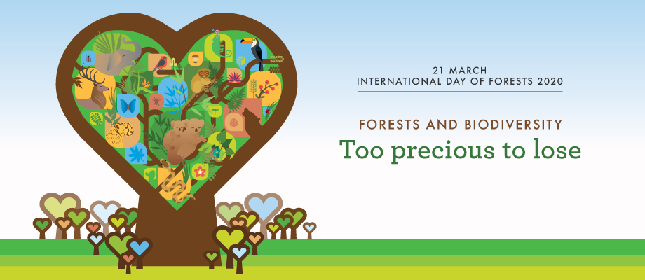 international day of forests 2020 banner