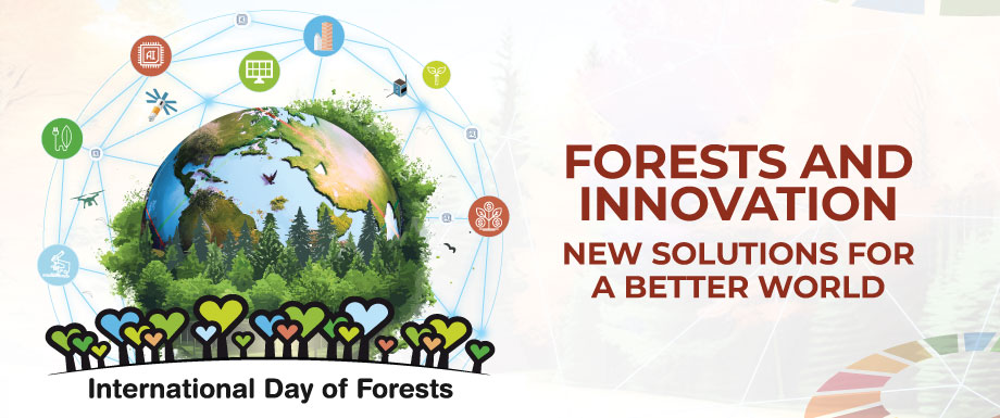 international day of forests 2024 banner