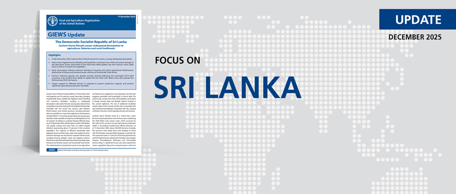 <a href='https://openknowledge.fao.org/handle/20.500.14283/CD7935EN' target='_blank'>Cyclone Storm Ditwah caused widespread devastation to agriculture, fisheries and rural livelihoods</a> Image 1
