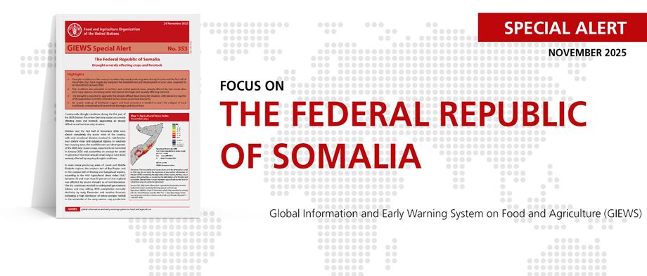 <a href='https://openknowledge.fao.org/handle/20.500.14283/cd7667en' target='_blank'>Drought severely affecting crops and livestock</a> Image 4