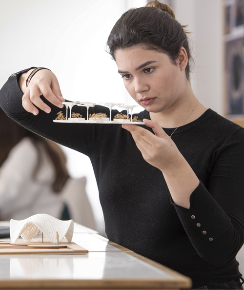 Department of Architecture