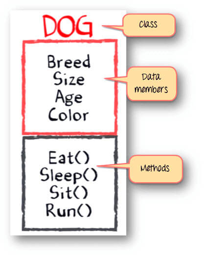 Java Classes and Objects