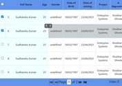 Powerful and Customizable jQuery Data Table/Grid Plugin - supergrid.js