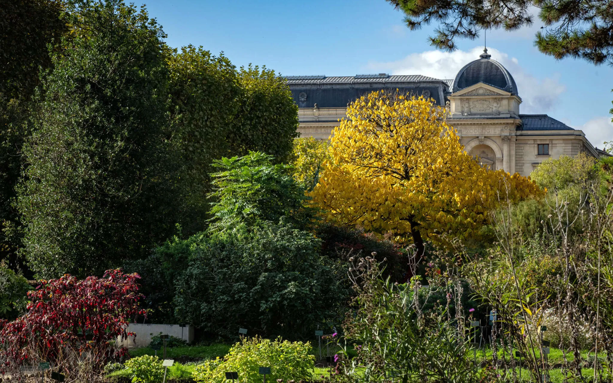 L’École botanique du Jardin des Plantes de Paris © MNHN - F.-G. Grandin