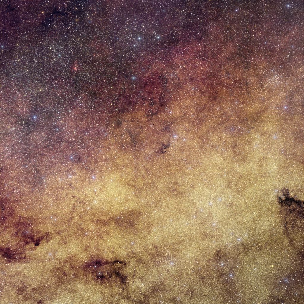 Euclid image of a dense starfield