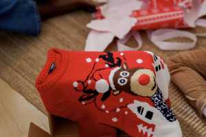 Hey Microsoft! You could print money with this holiday sweater idea