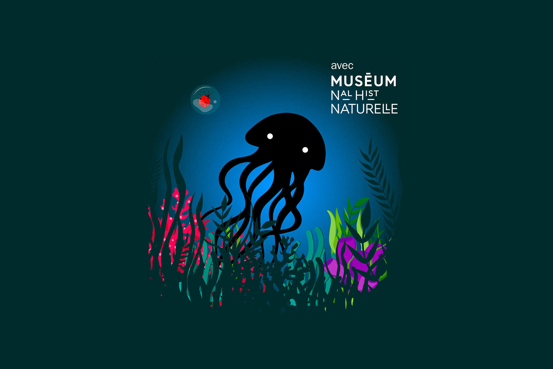 Bestioles - La méduse 1800x1200