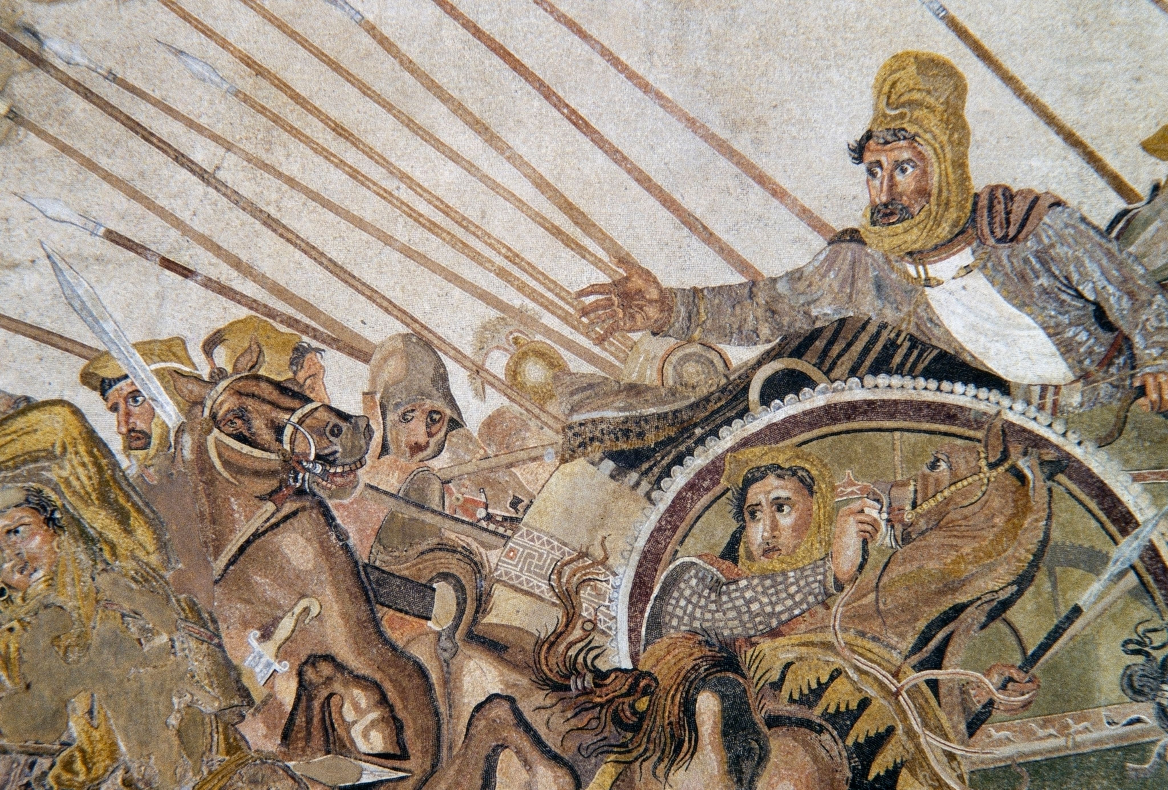 Bataille d'Issos, détail représentant Darius III de Perse, mosaïque de Pompéi conservée au Musée archéologique de Naples.