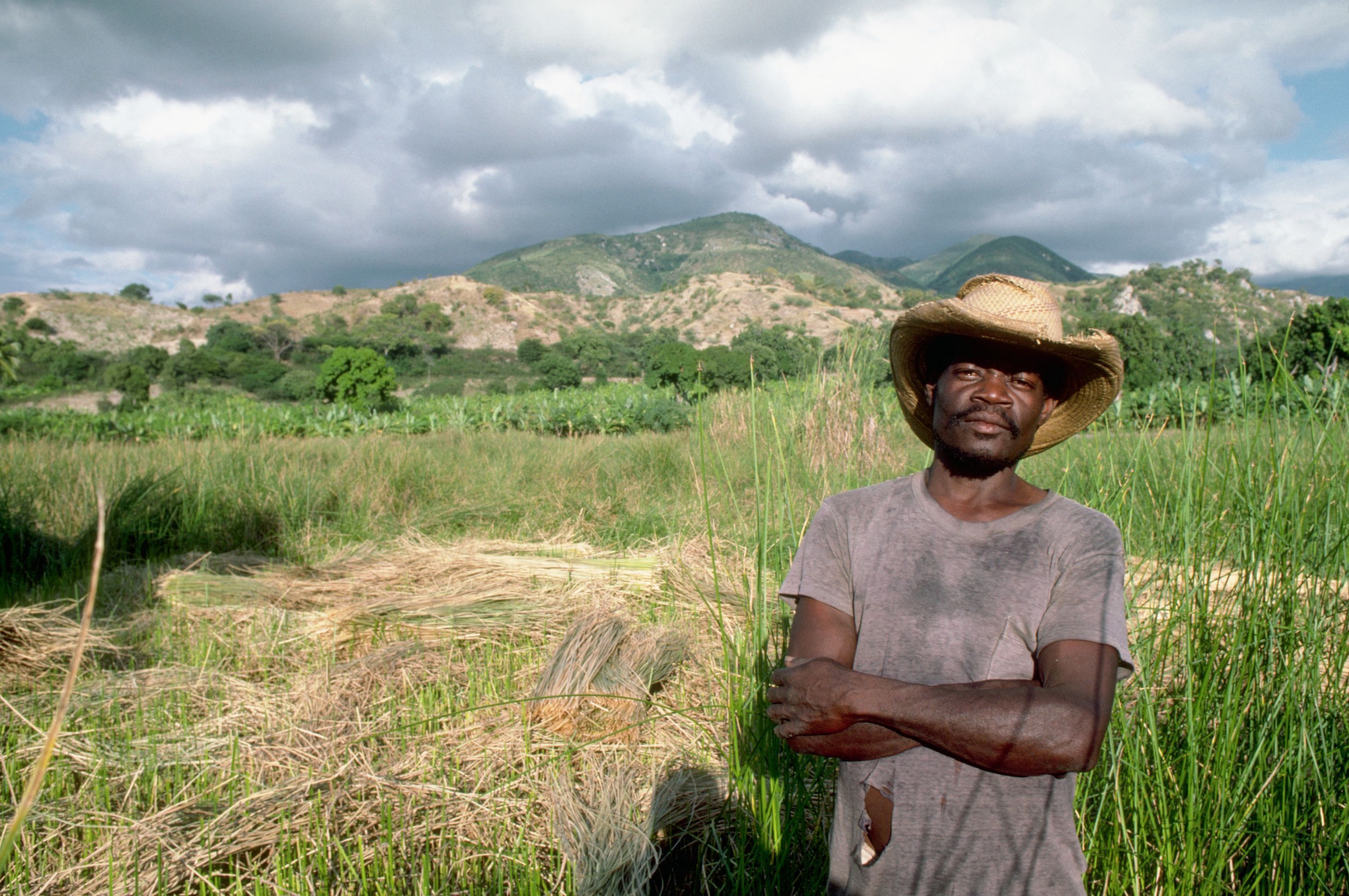 Un agriculteur dans son champ de céréales, hautes terres du centre d’Haïti. Que signifie " terres mal utilisées" selon certains rapports de la Banque mondiale ?