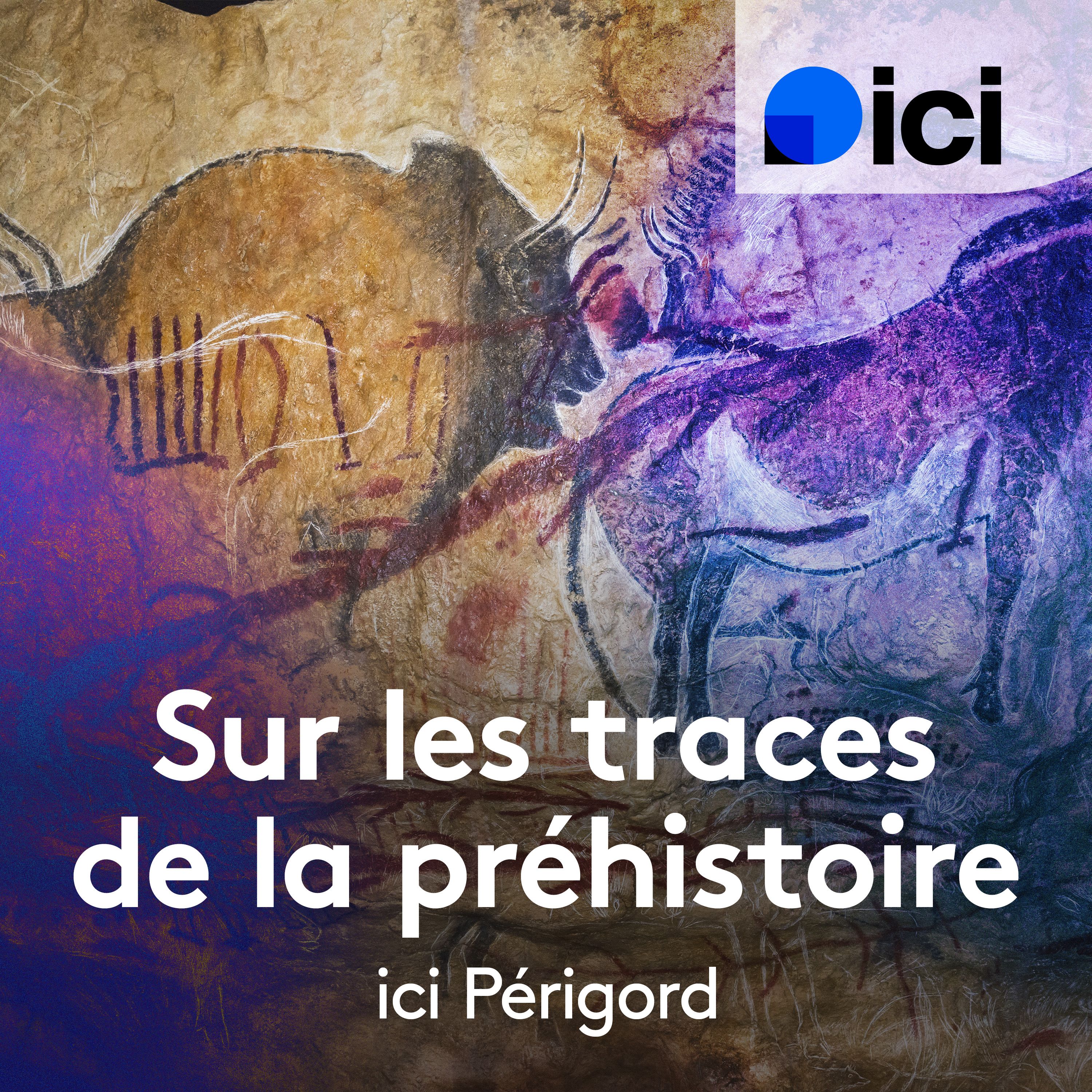 Sur les traces de la Préhistoire