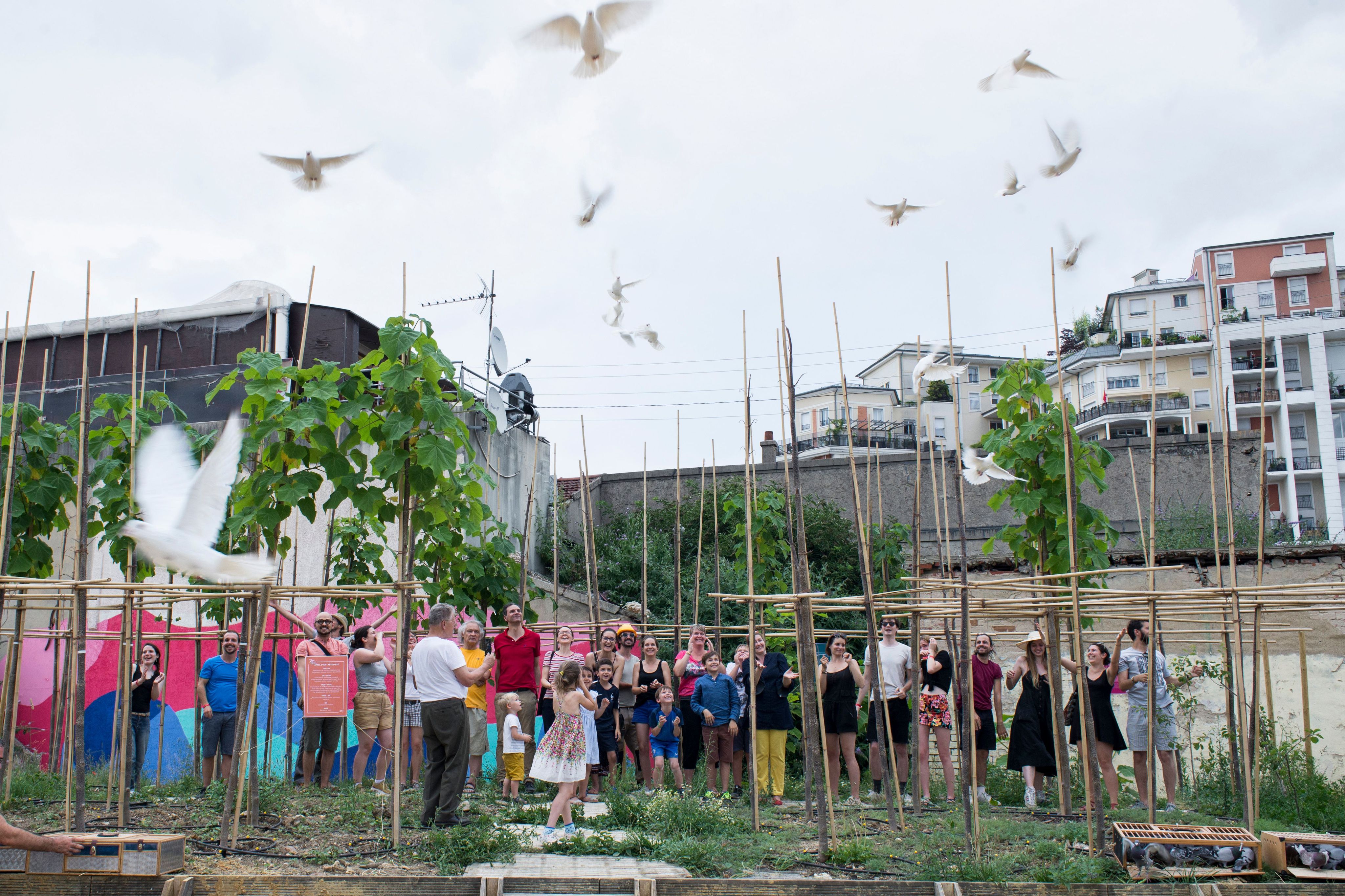 "Des oiseaux et des arbres", plantations participatives et pépinières urbaines, dans le cadre du projet APPEL D'AIR, par Thierry Boutonnier (2016/2030)