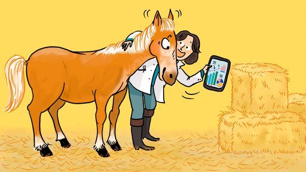 Une chercheuse qui étudie le cerveau des chevaux nous raconte son métier dans "Salut l'info !"