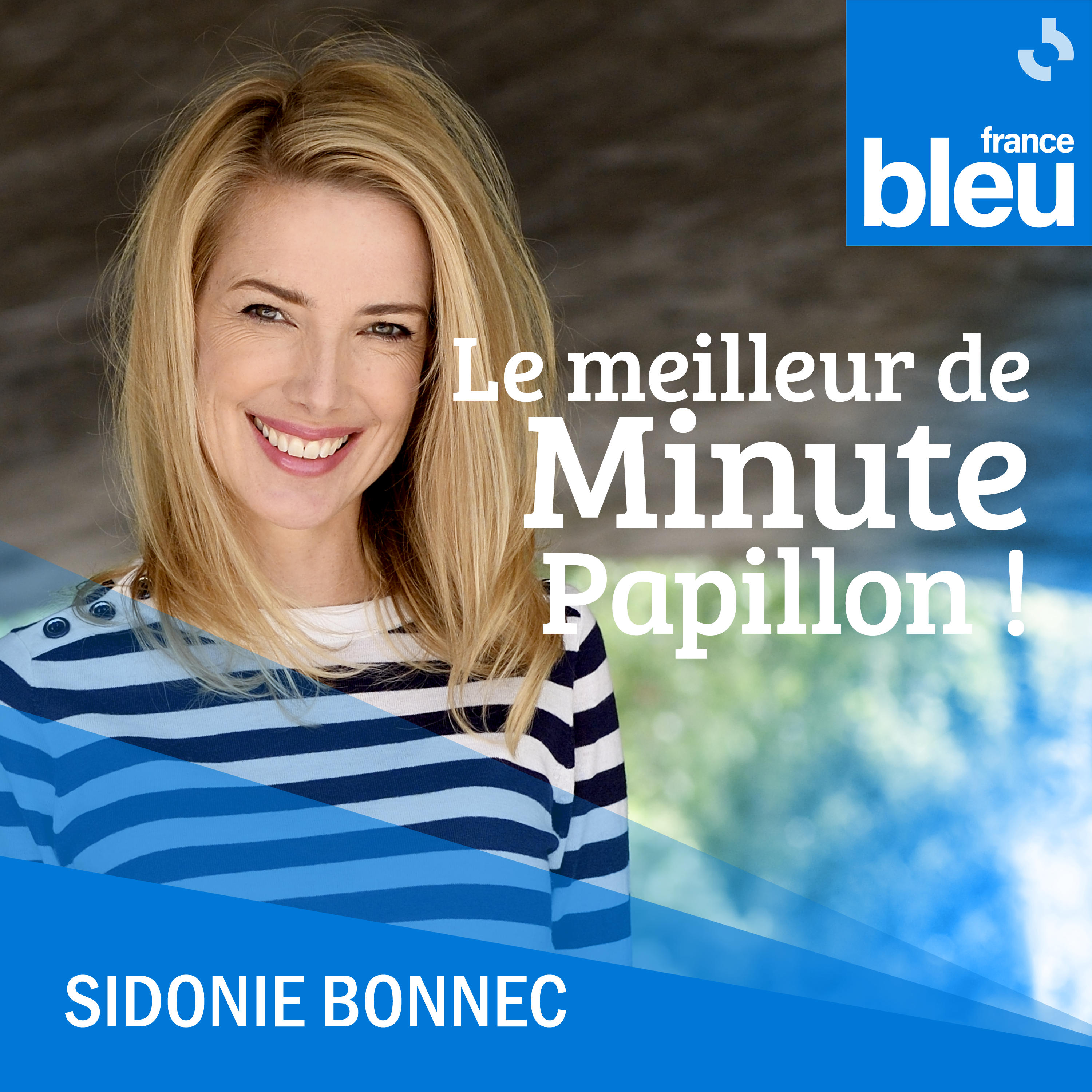 Le meilleur de Minute Papillon !