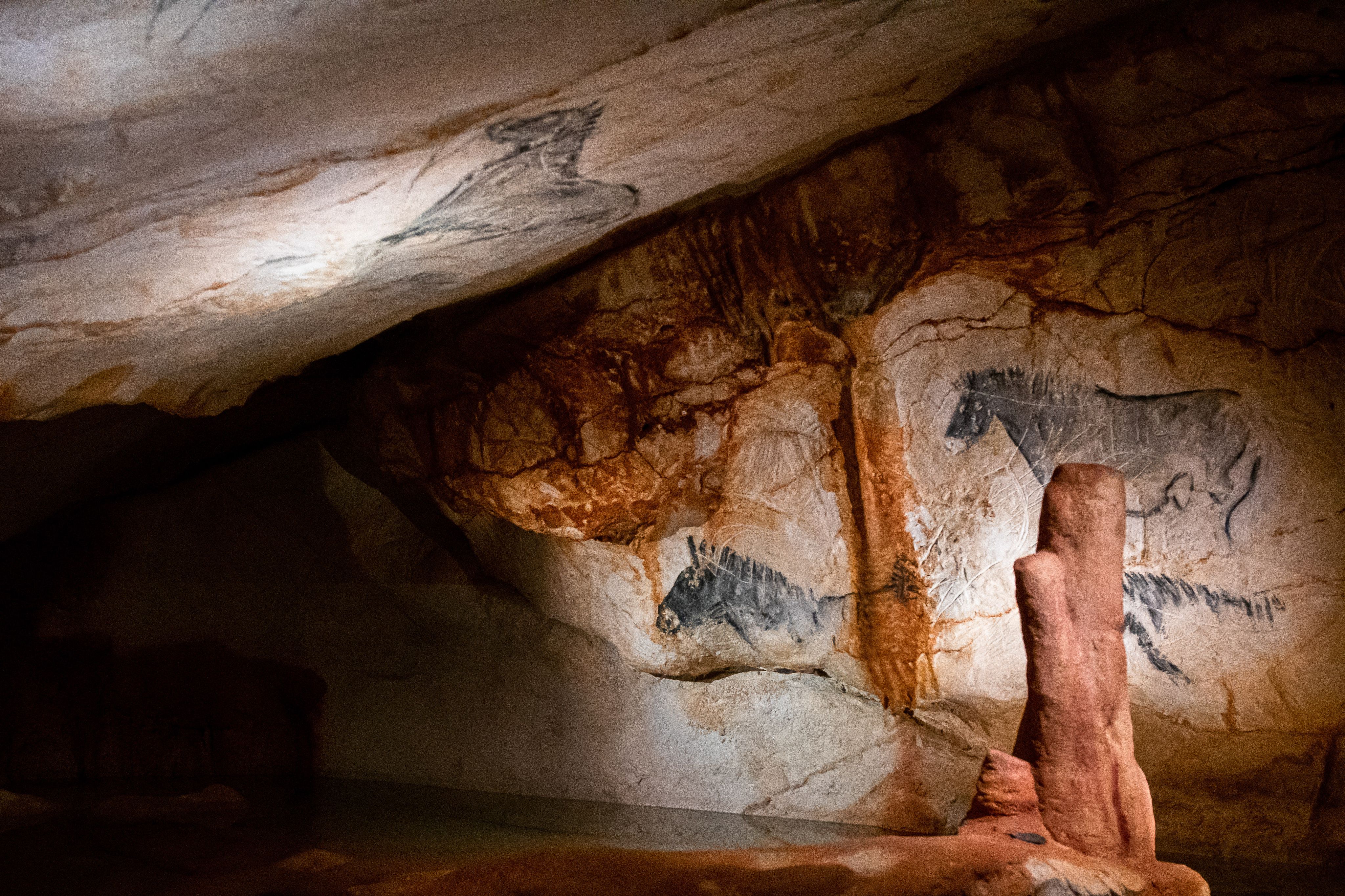 Les peintures de la grotte de Cosquer à Marseille.