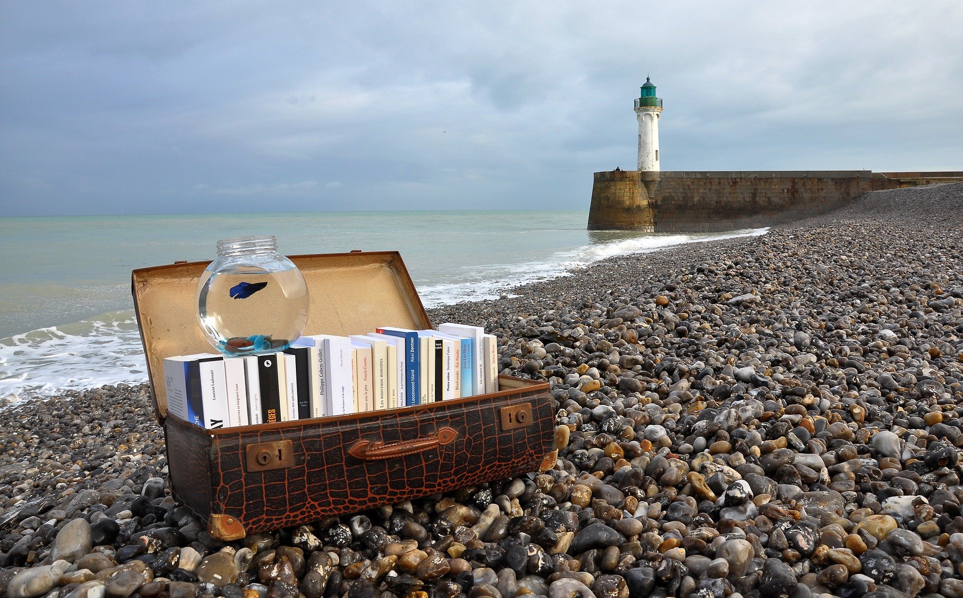 Quel livre emporter dans sa valise cet été ?