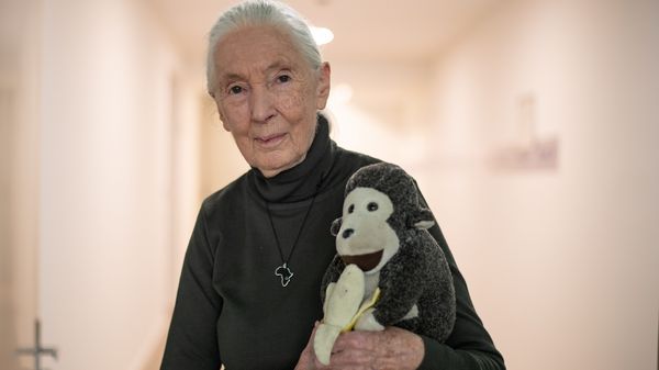 L'anthropologue, Jane Goodall, à Munich en Allemagne, le 2 mai 2023.