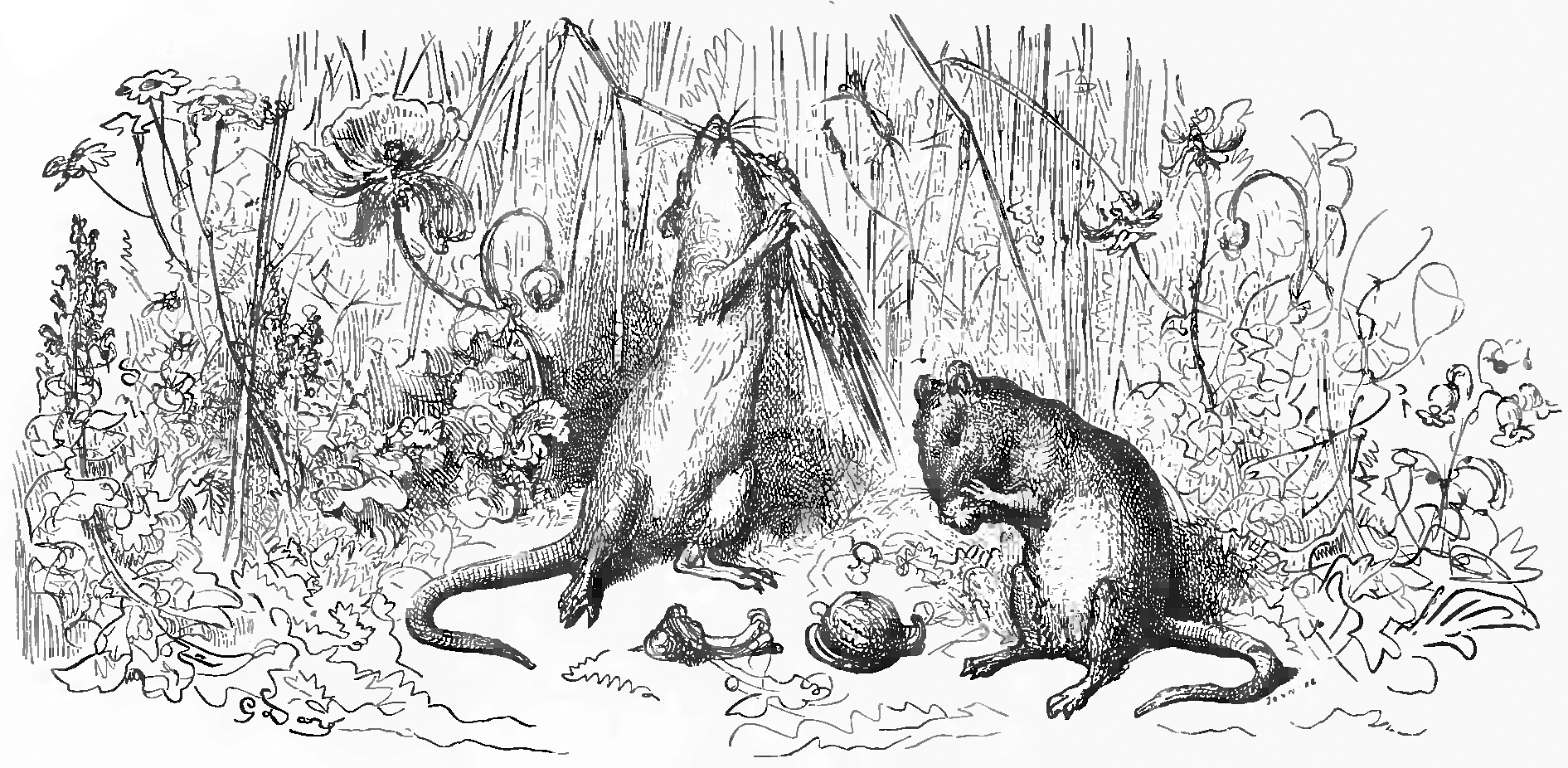 "Le Rat de ville et le Rat des champs" par Gustave Doré (1876)