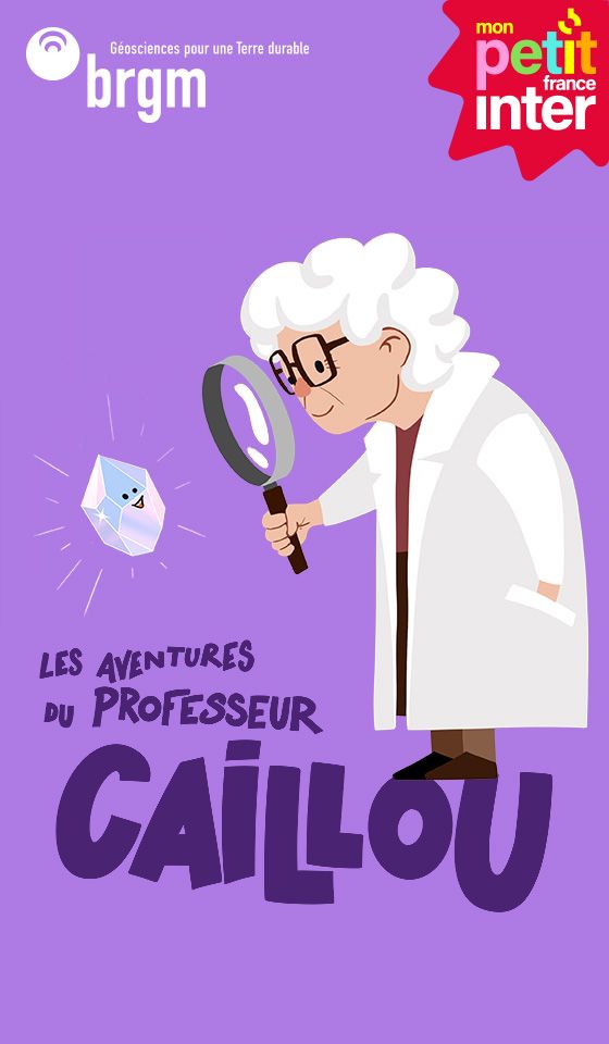 Professeur Caillou - Vertical