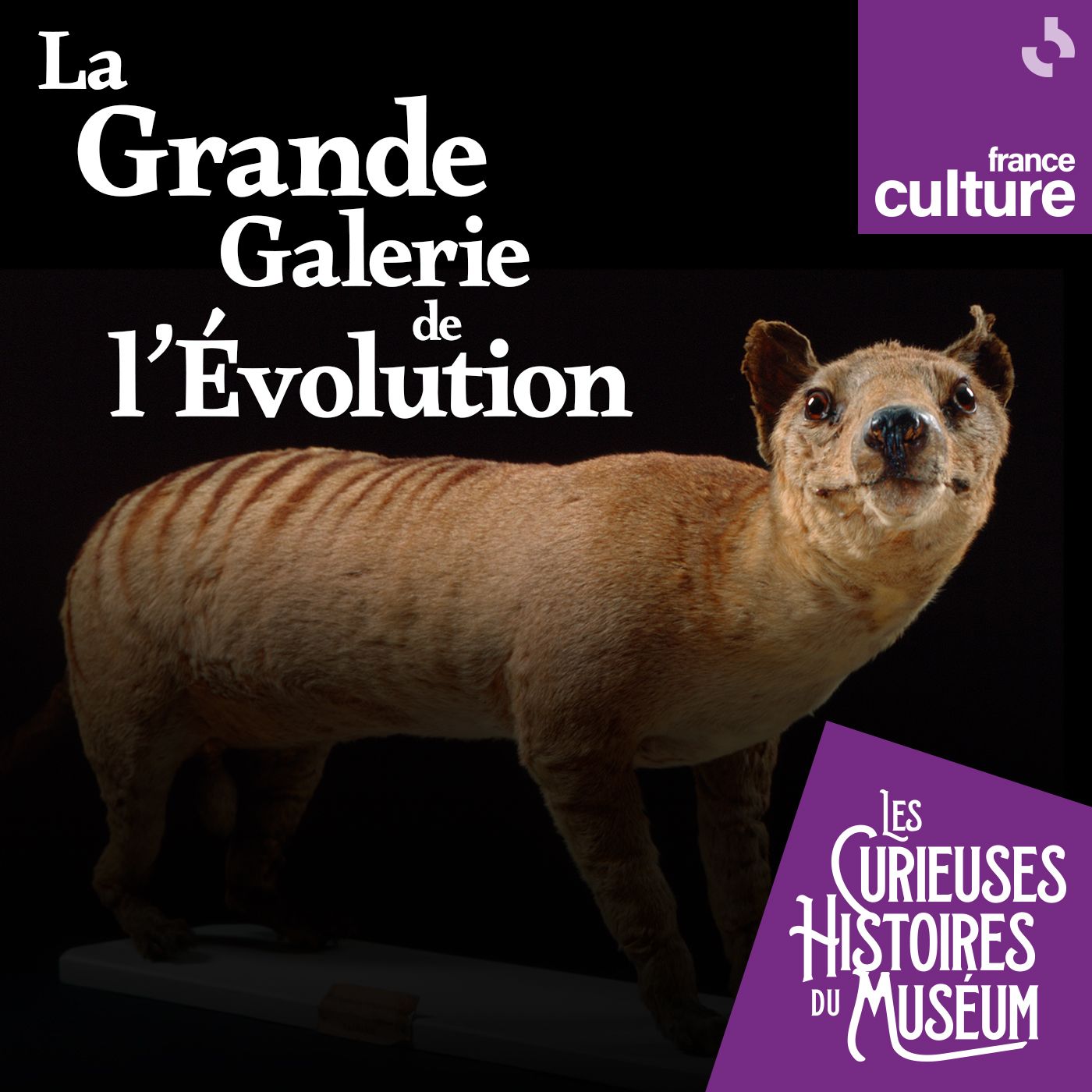 La Grande Galerie de l'Évolution