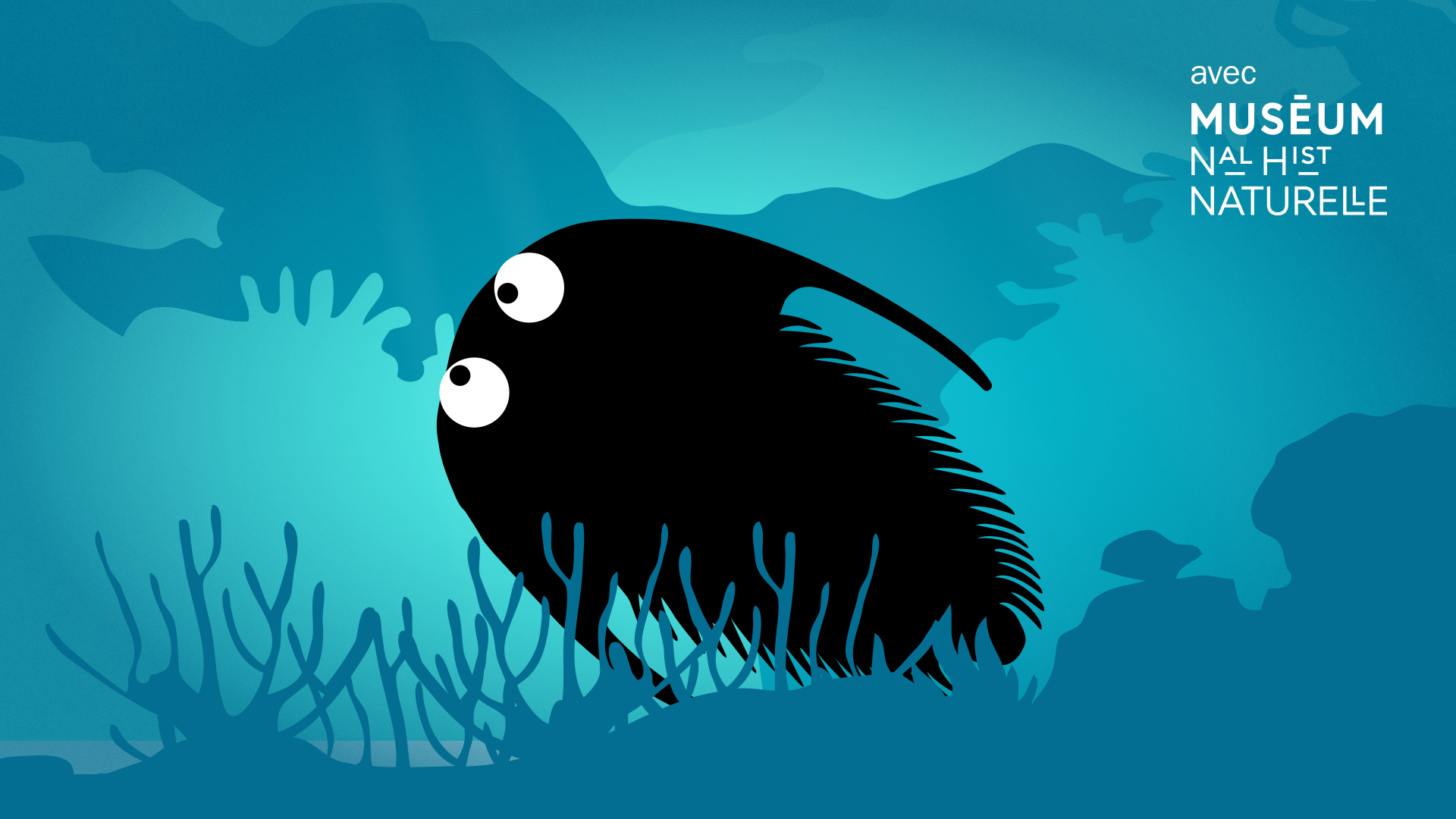 Bestioles fossiles : le trilobite