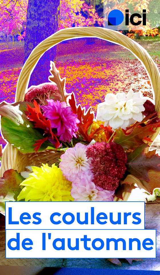 Les couleurs d'automne