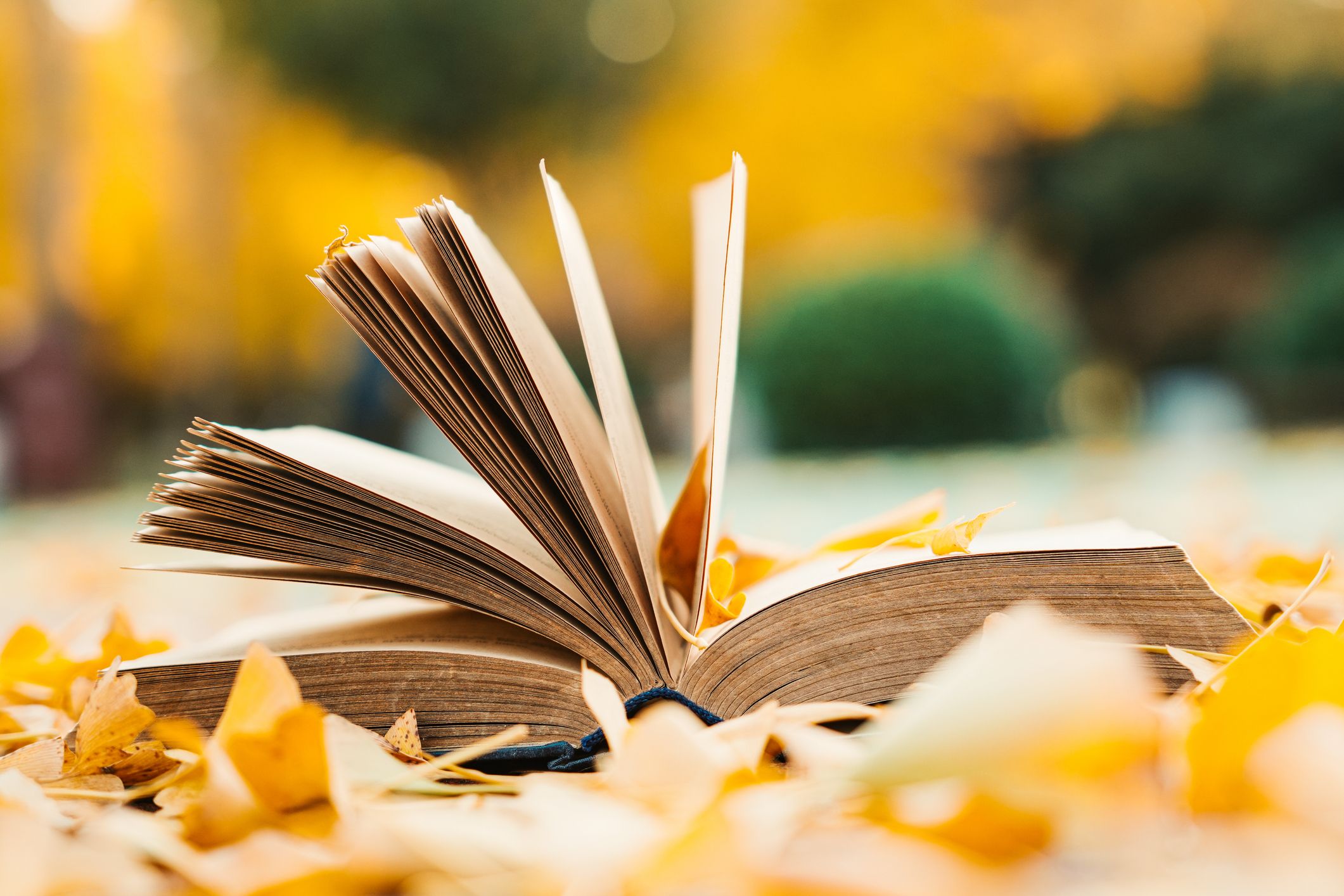 Le plaisir de lire Sébastien Gendron