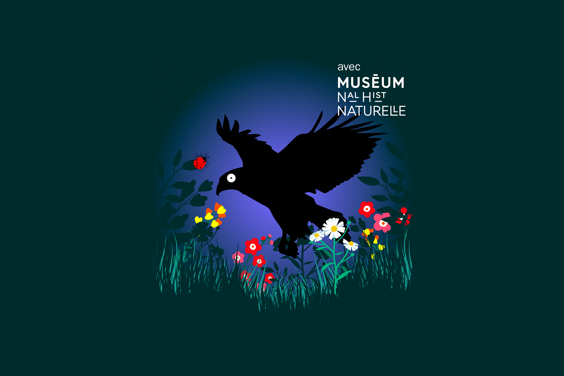 Bestioles - L'aigle noir 1800x1200