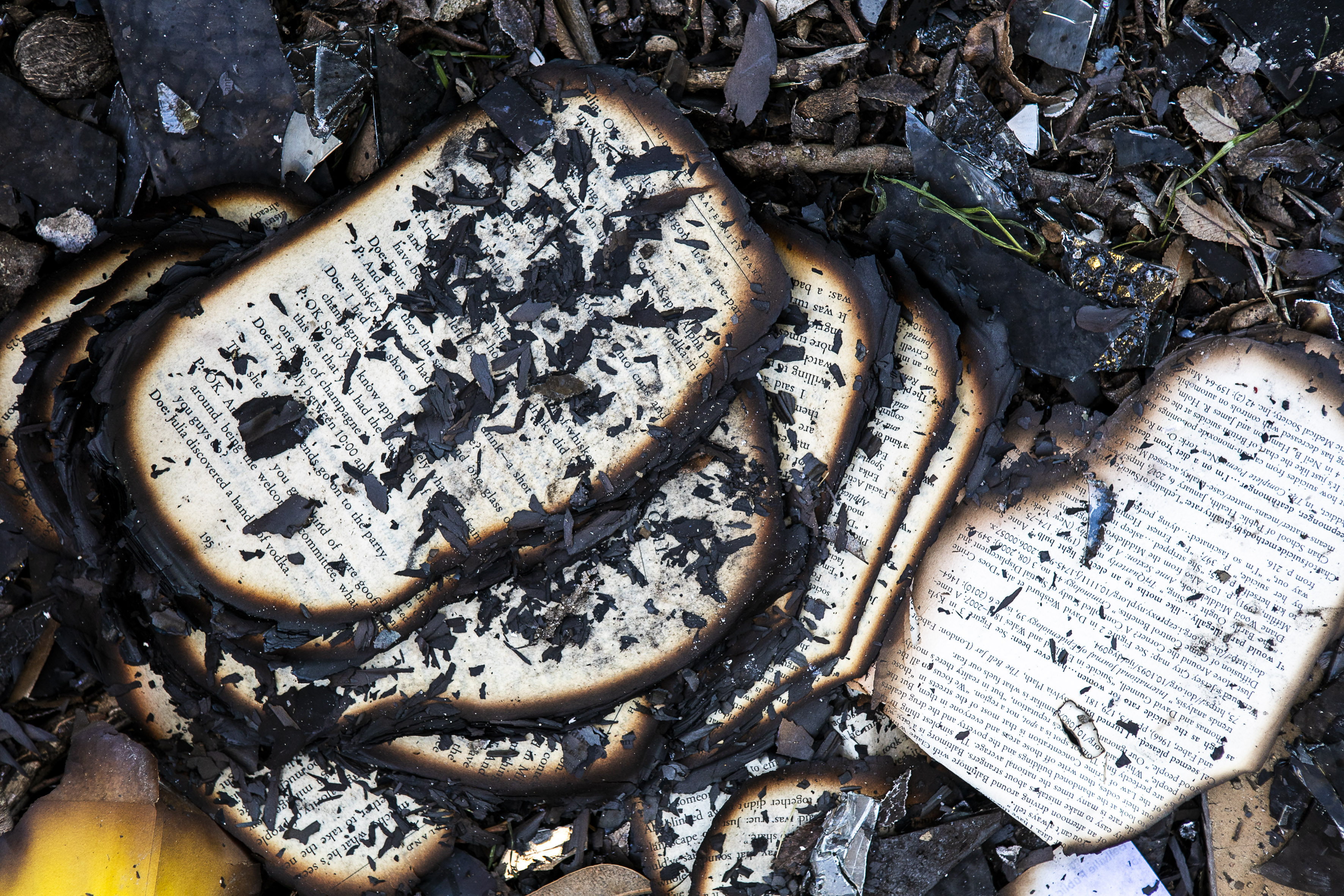 Brûler des livres, la destruction délibérée du savoir