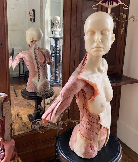 Une céroplastie de Nathalie Latour dans son atelier 