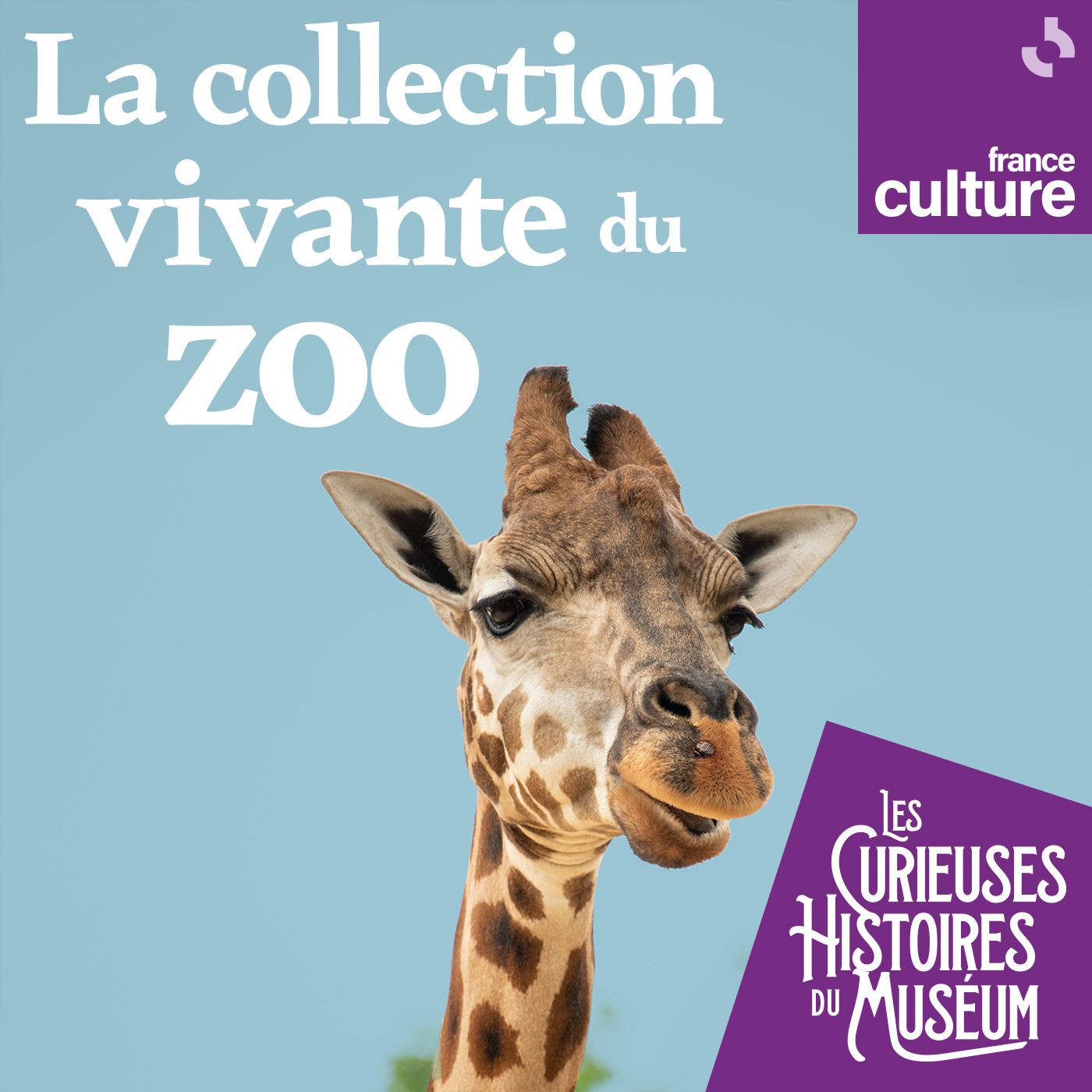 La collection vivante du zoo