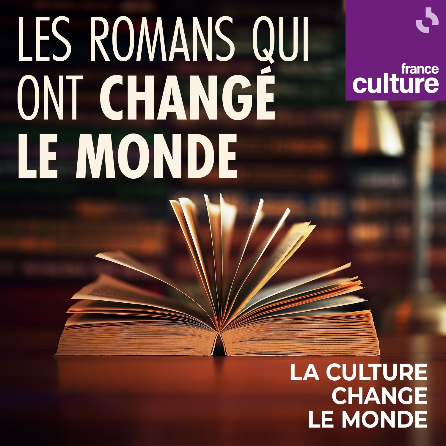 Les romans qui ont changé le monde