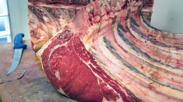 Des scientifiques estiment que nous ne devrions manger que 14 grammes de viande rouge par jour.