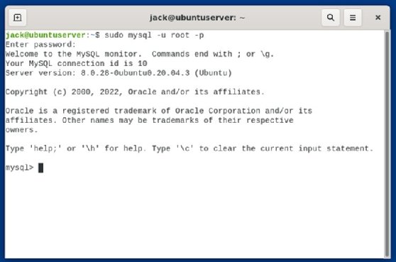 MySQL console