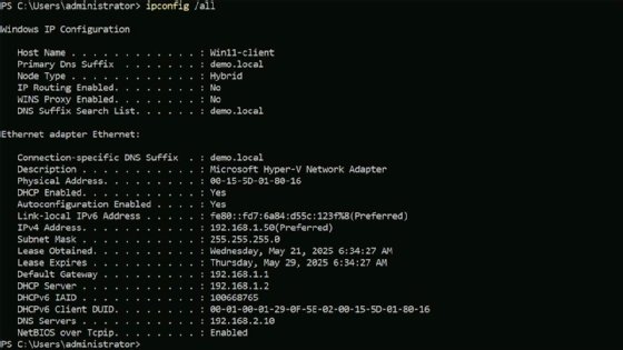 Image showing a Windows client IP address configuration information.