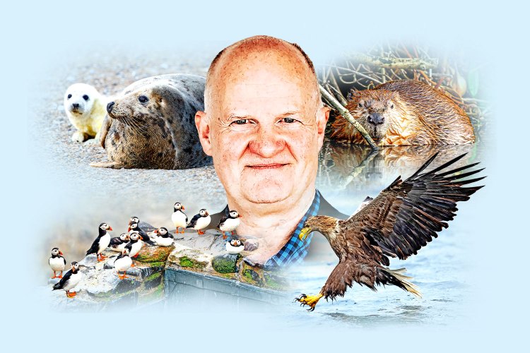 Collage of a man's smiling face with images of a seal and pup, puffins, a beaver, and an eagle.