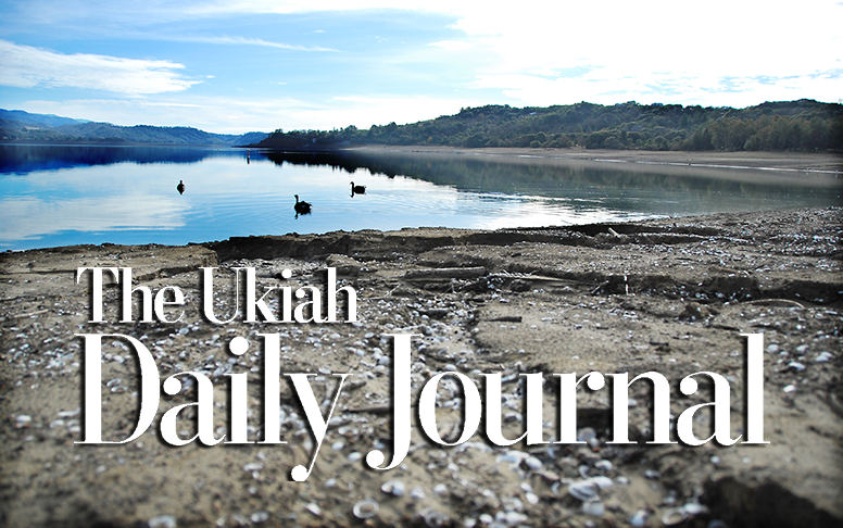 Endorsement: Rodin, Strangio and White for Ukiah City Council; Hart for 3rd District Supervisor ukiahdailyjournal default image