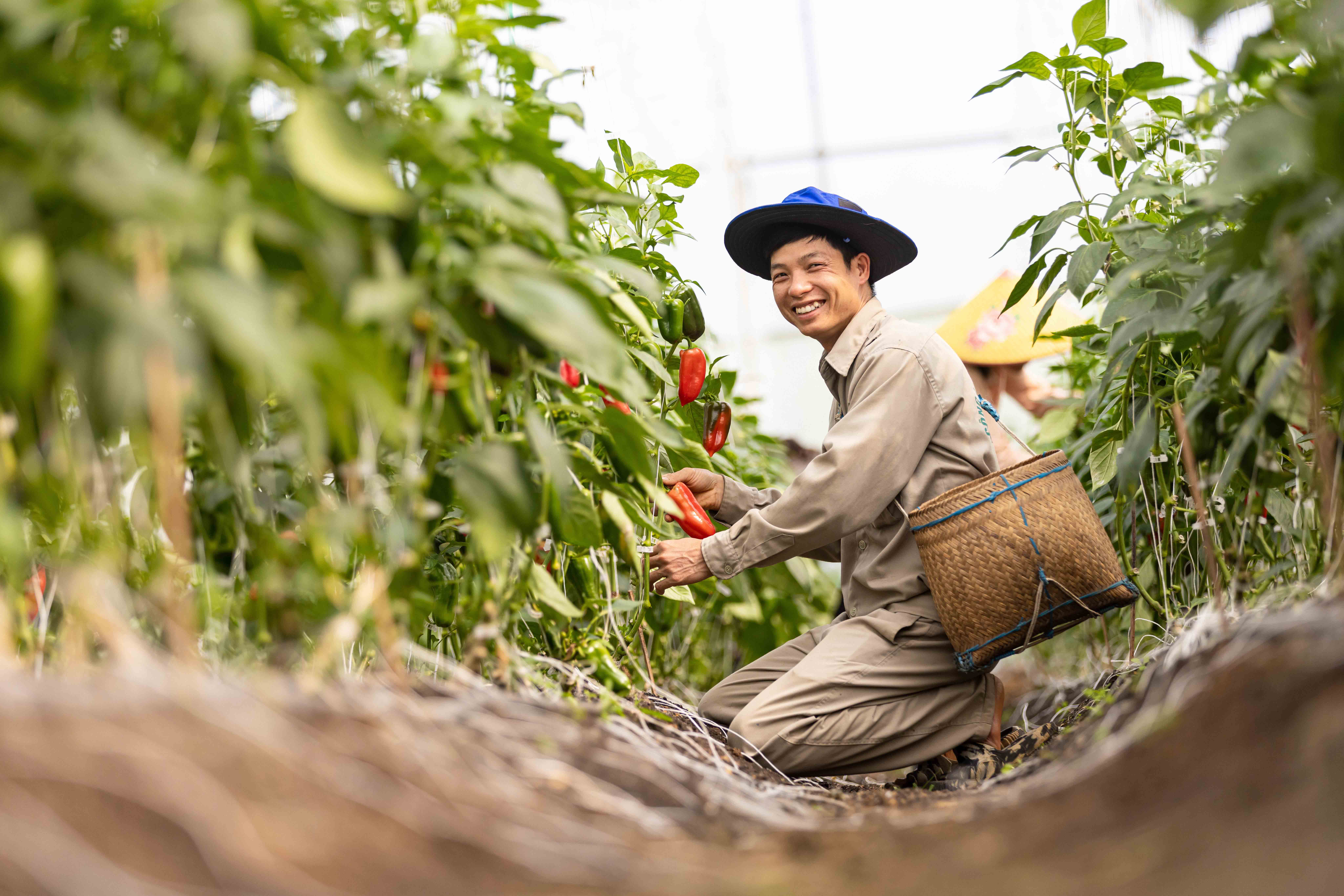 A man in a greenhouse
