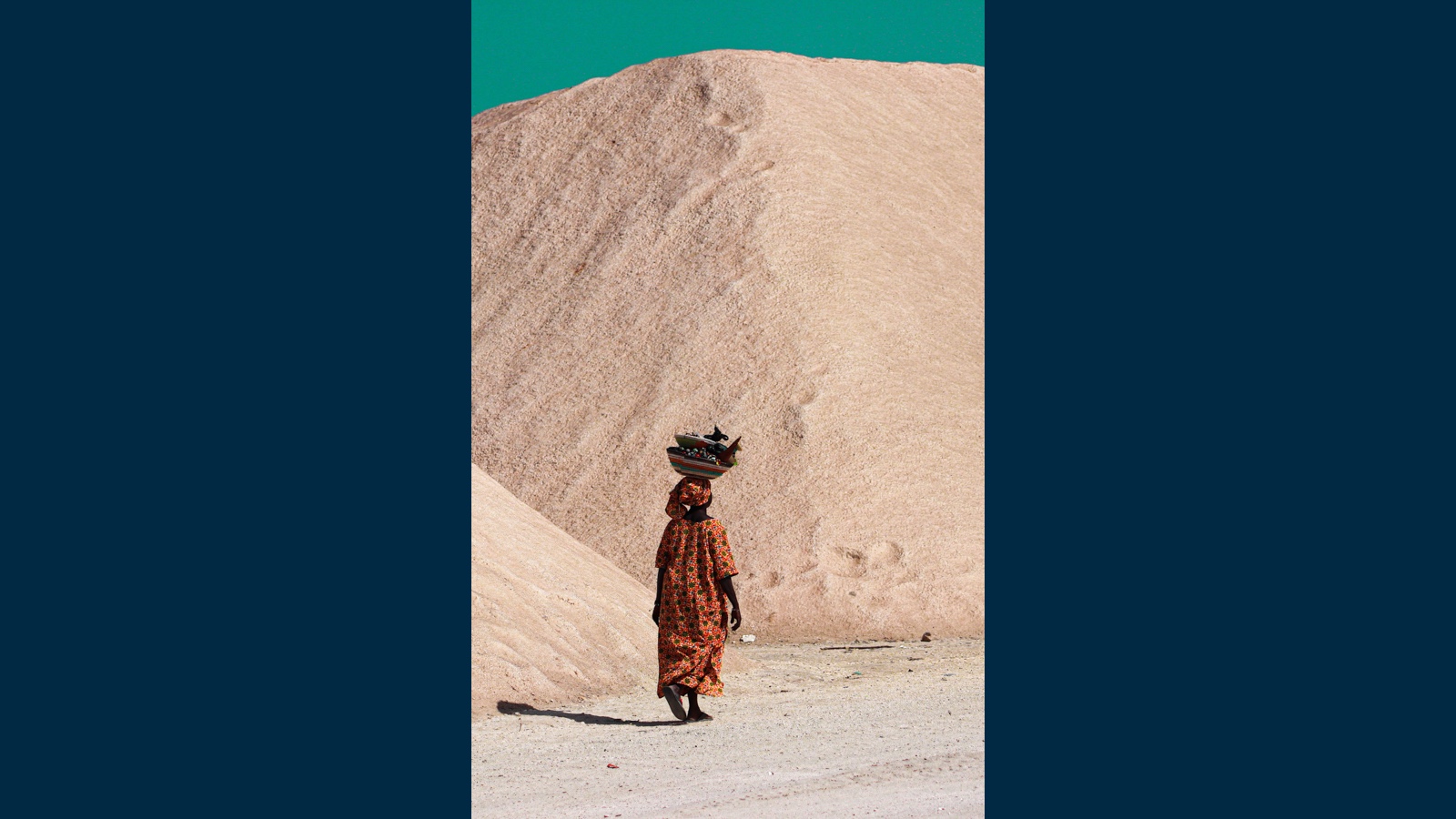 Shaping Our Future Together image